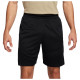 Nike Ανδρικό σορτς Dri-FIT Icon+ 8'' Shorts
